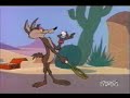 Beep Beep And Coyote