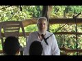 The Great Kalpa Tree View Video