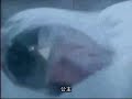 Super Sentai 4 Super Sentai 4