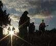 The Felice Brothers - Waterspider (Cornbury Festival 2007)