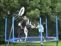 Trampoline Basketball