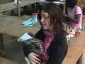 Jennahealing wings.WMV