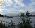 Sommerabend am Rhein - summer at the Rhine ...