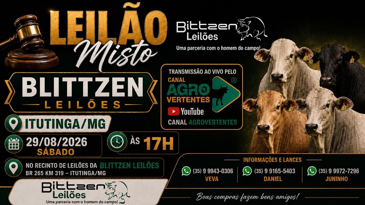 LEILÃO MISTO BLITTZEN LEILÕES  - ITUTINGA/MG - 29/08/2026