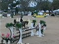 Landclassic 12 year old Hannoverian FOR SALE