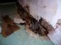Why drywalls are bad for your basement