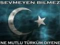 BOZKURTLARIN BASBUGLARI