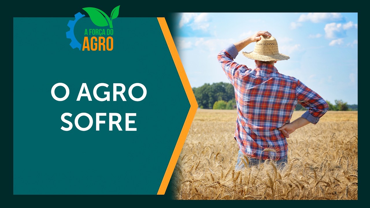 Quem realmente ganha com o agro? A verdade sobre o produtor rural
