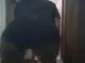 Real Booty Meat