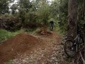 Freeride In Camacha