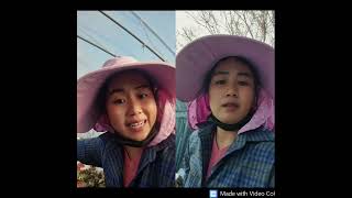 ហ៊ុន សែន បង្វិល.......