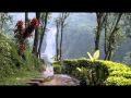 Nuwara Eliya, Sri-Lanka Hill Country