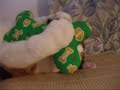 ?????????????? - Cat hug a toy