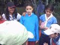 Va Lobato