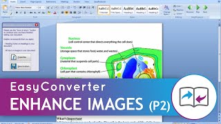 Learn Dolphin EasyConverter - Enhance image in EasyConverter (Part 2 of 2)