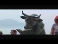 Rio Cow Parade by Vhaynes