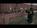 videos de Winston diaries ep.20