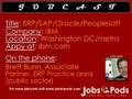 IBM Jobcast: Brett Bunn, ERP practice area - Public Sector