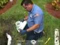 Plumber Rescues Cute Puppy from Drain Pipe