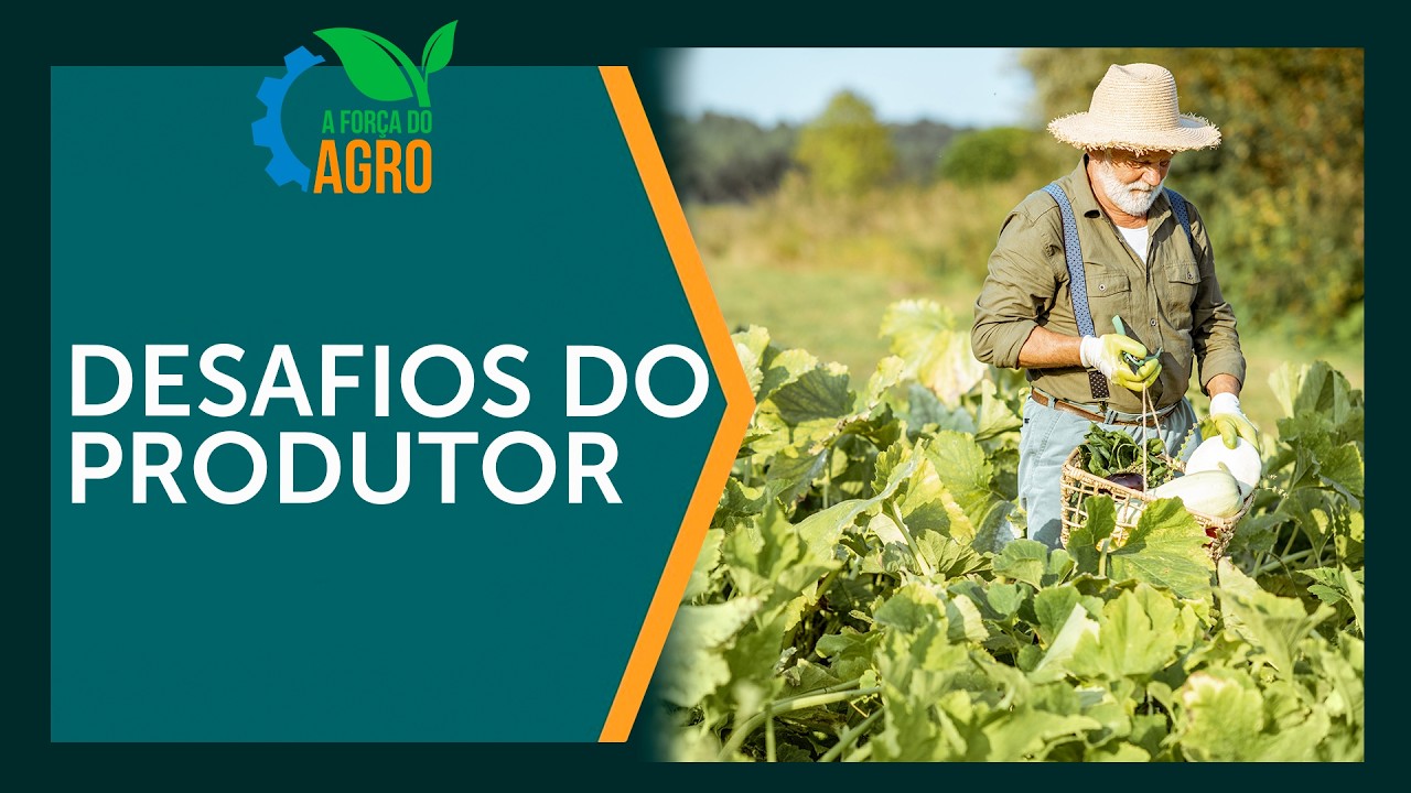 O que o produtor rural não te conta sobre sua saúde mental? | A Força do Agro, com Joice Maffezzolli