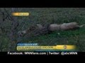 Exotic Animals On the Loose in Ohio; Police Shoot to Kill