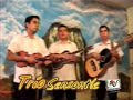 TRIO SENSONTLE, EL QUERREQUE DESDE HUAUCHINANGO