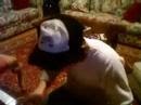 Assistir ao v�deo
