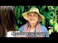 soriya oss sdongkut   tet vichikar