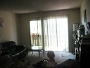 Monkey episode