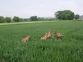 Geschwister-Treffen RR vom Holler Tal