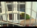 Гледай видео