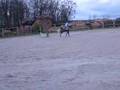 videos de Nimmerdor et moi