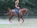Clint Eastwood under saddle Clint Eastwood under saddle