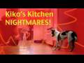Kikos Kitchen Nightmares!- Training your dog to get over their fears clicker training