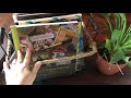 FEBRUARY 2019 HOMESCHOOL MORNING BASKET | MORNING TIME