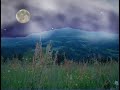 sie sehen hier ein video zur musik von 
antonio vivaldis 4 jahreszeiten. 
(der fr�hling)
ich habe dazu fotos von einer letztj�hrigen �sterreich tour benutzt, und als hintergrund einen sternenhimmel eingef�gt !

f�r die musik habe ich eine lizenz !

tags: ard zdf orf arte classica bbc nbc premiere fantasy fantasia disney pay tv teleclub
star lights nature natur colors magic
effects farben klassik klassische
classic animation paint videopainting spring video videoart art videokunst
new york times stern spiegel focus vier
bregenzer festspiele bregenz bodensee classical music videos classicvideo,klassikvideo,klassikvideos,
classicvideos
