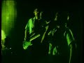 the-animal-five-sharks.html