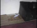 SFD - CSI Crime Scene Awareness video 1