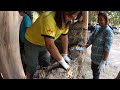 Hay bale mud house weekend – Khon Kaen Thailand
