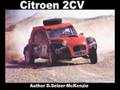 Citroen 2CV - SelMcKenzie Selzer-McKenzie