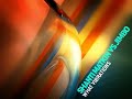 Shanti Matkin & Jimbo - What Vibrations [exprmntl / lounge]