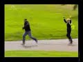 Ukryta kamera - Wycinanie drzew
