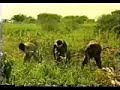se-al-de-dios-parte-01-ezequiel-ataucusi-gamonal-.html