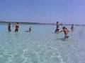 Guarda video