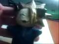 neko chan argilla color.wmv