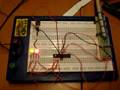 Hello World ATMEGA 168