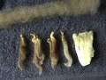 Wool Carding with Sue Macniven