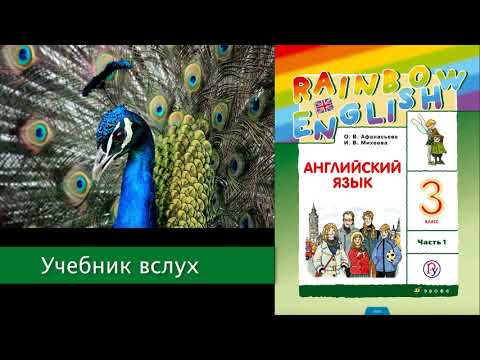 Учебник вслух - Rainbow English 3-1, Unit 2 Step 2, Английский язык 3 ...