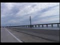 Miniature Deer in Florida Keys