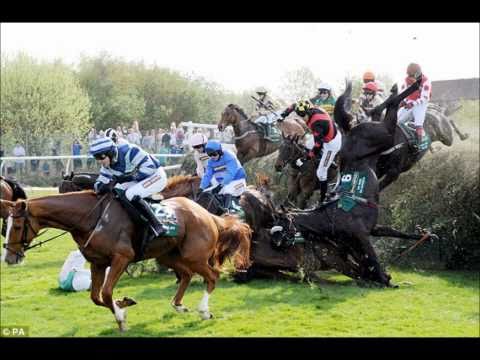 horses grand national horses grand national